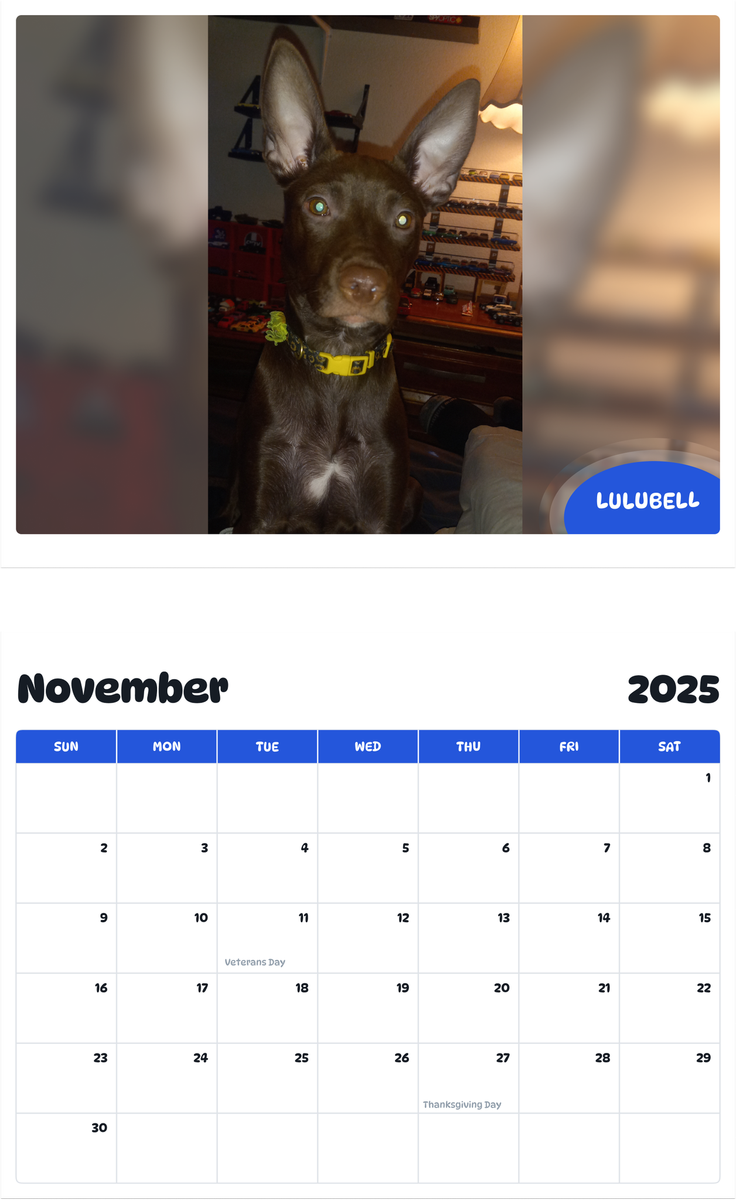 July 2025 - June 2026 Lulubell - Pawidols Pet Calendar