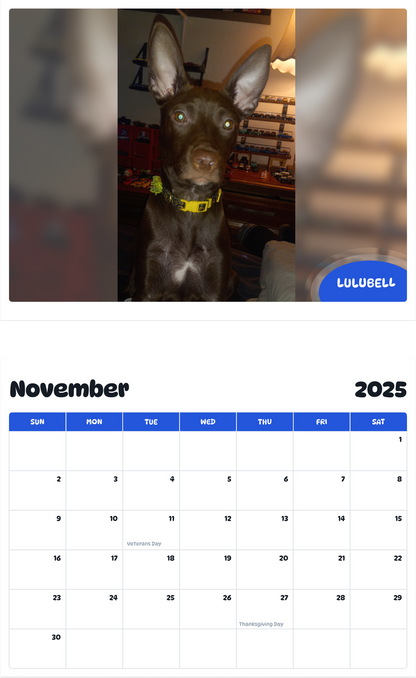July 2025 - June 2026 Lulubell - Pawidols Pet Calendar