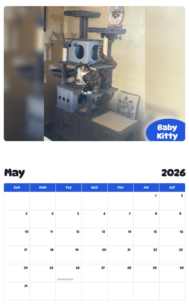2026 - 2027 Baby Kitty - Pawidols Pet Calendar