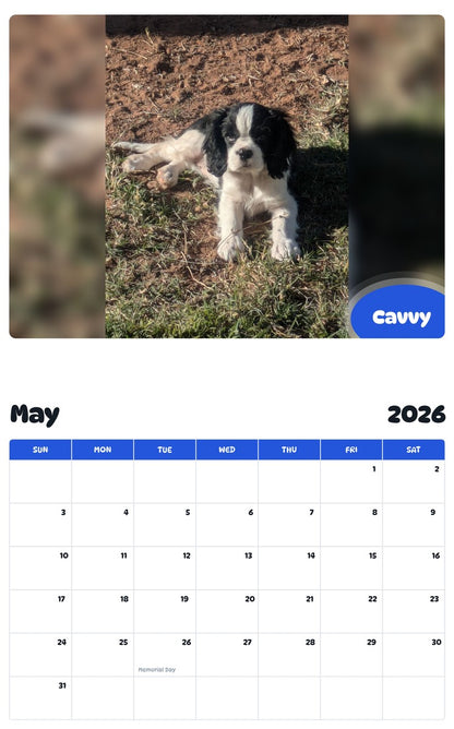 2026 - 2027 Cavvy - Pawidols Pet Calendar