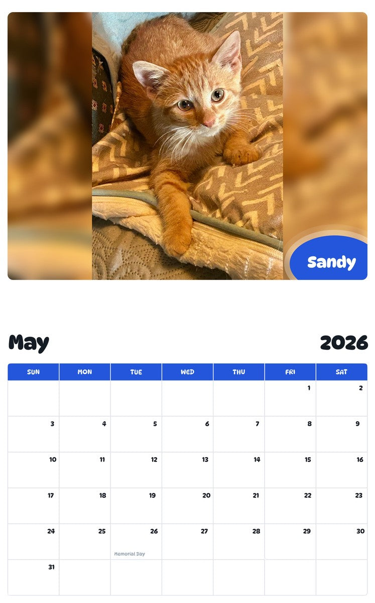 2026 - 2027 Sandy - Pawidols Pet Calendar
