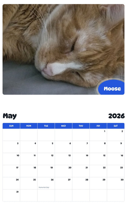 2026 - 2027 Moose - Pawidols Pet Calendar