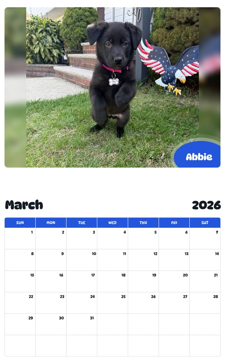 November 2025 - October 2026 Abbie - Pawidols Pet Calendar