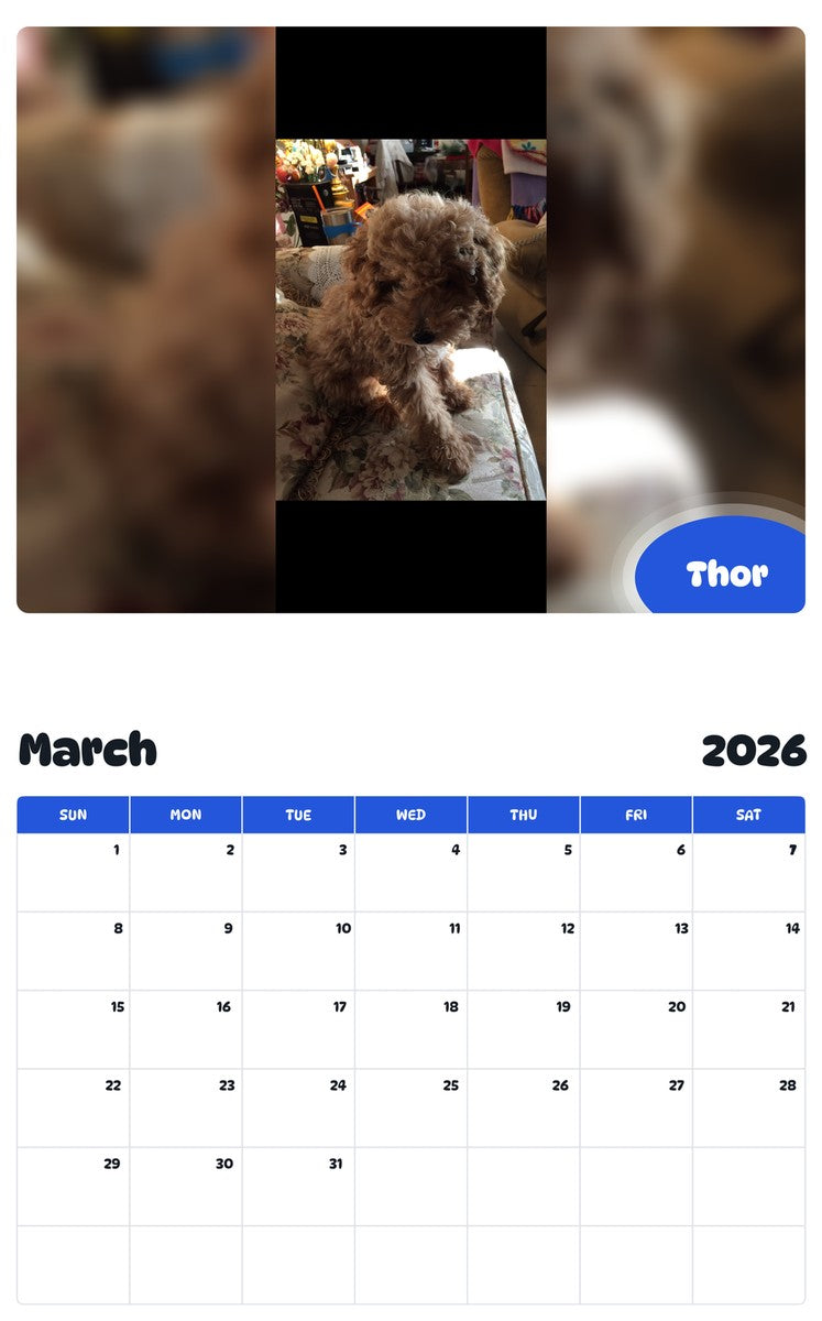 November 2025 - October 2026 Thor - Pawidols Pet Calendar