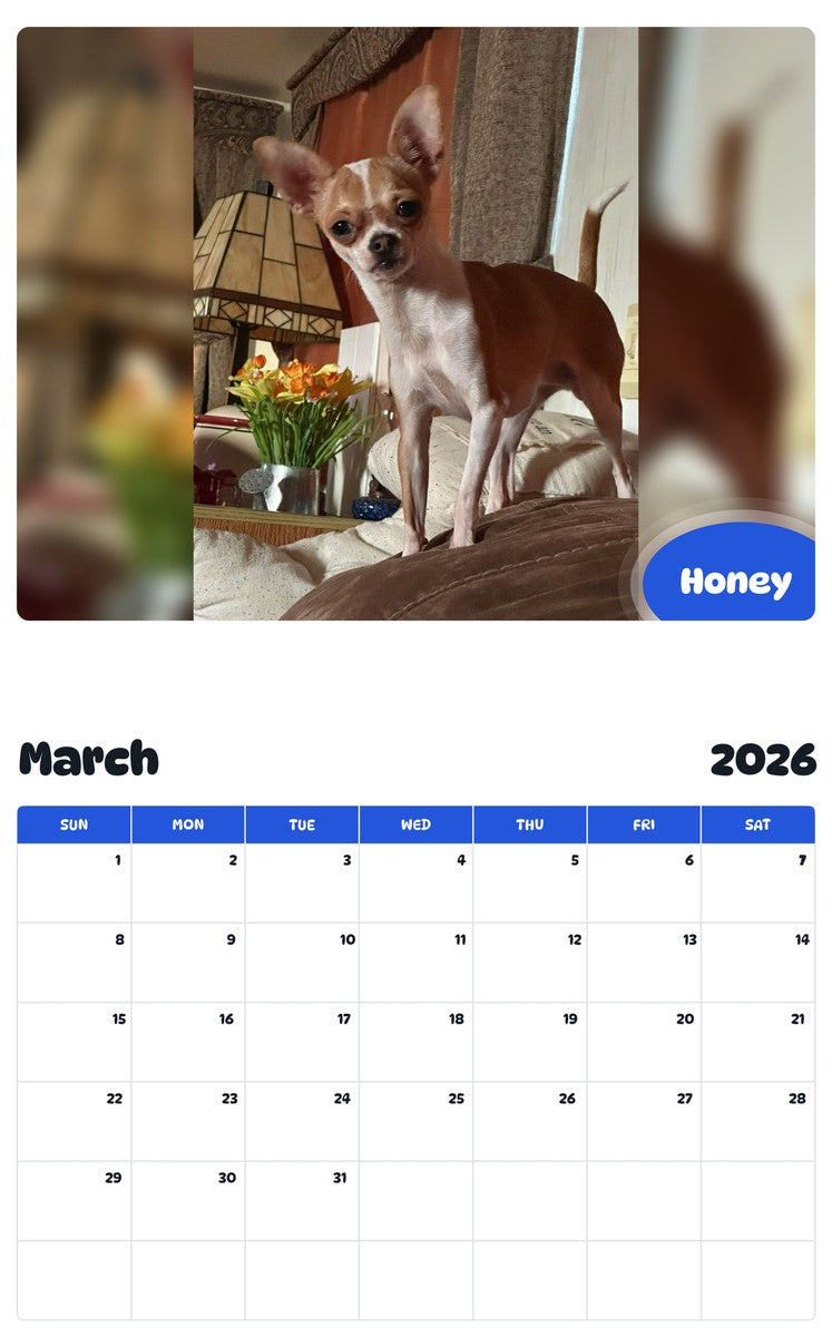November 2025 - October 2026 Honey - Pawidols Pet Calendar