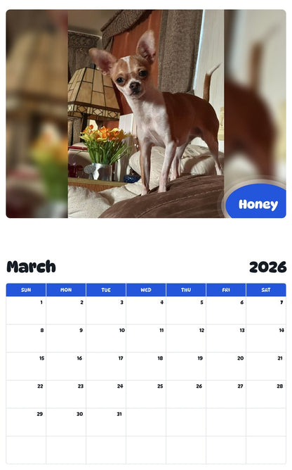 November 2025 - October 2026 Honey - Pawidols Pet Calendar