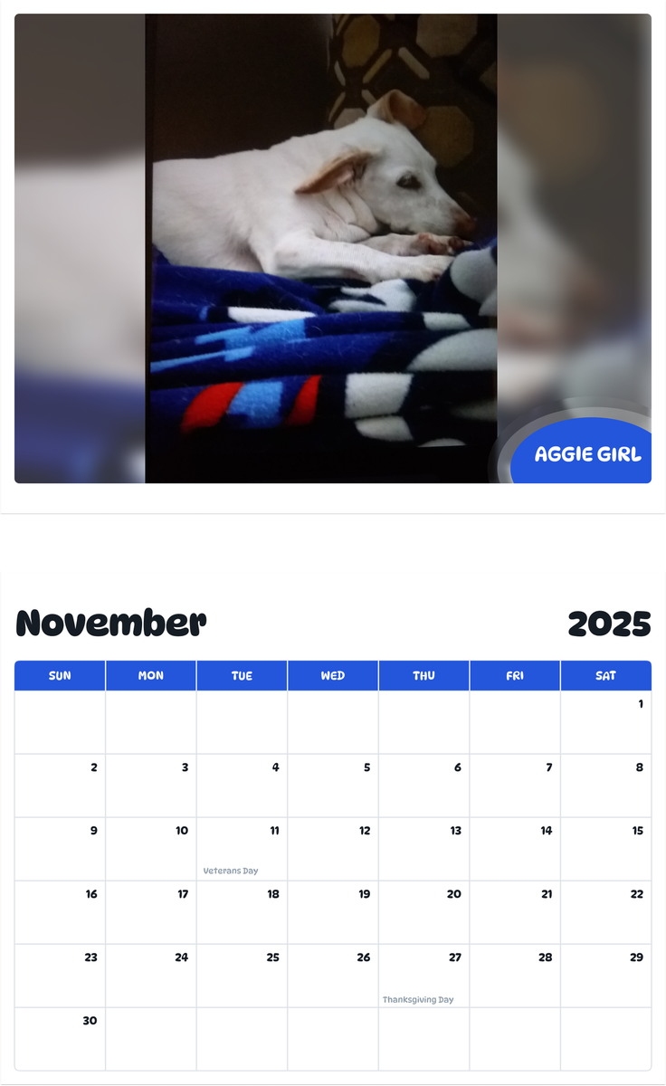 July 2025 - June 2026 Aggie Girl - Pawidols Pet Calendar