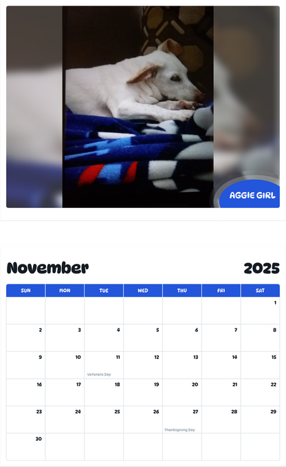 July 2025 - June 2026 Aggie Girl - Pawidols Pet Calendar