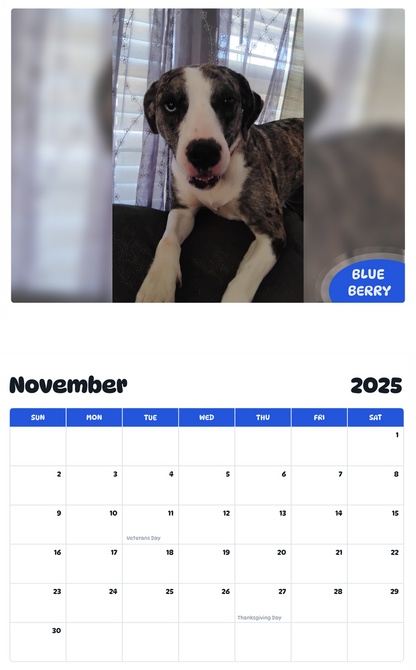 July 2025 - June 2026 Blue Berry - Pawidols Pet Calendar
