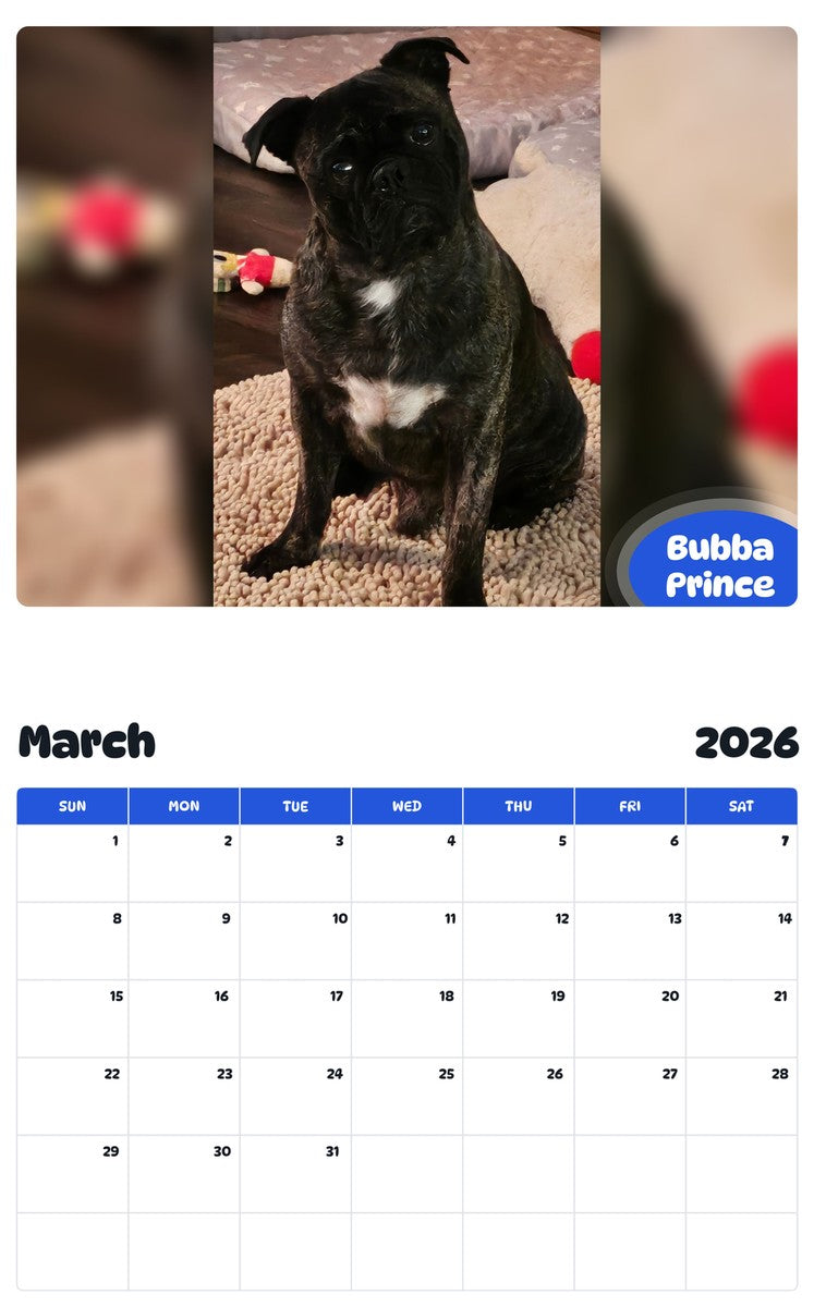 November 2025 - October 2026 Bubba Prince - Pawidols Pet Calendar