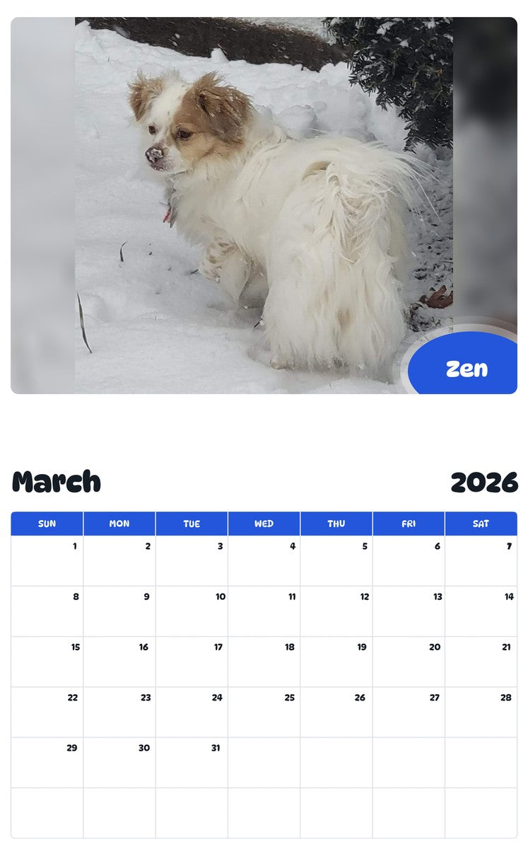 November 2025 - October 2026 Zen - Pawidols Pet Calendar