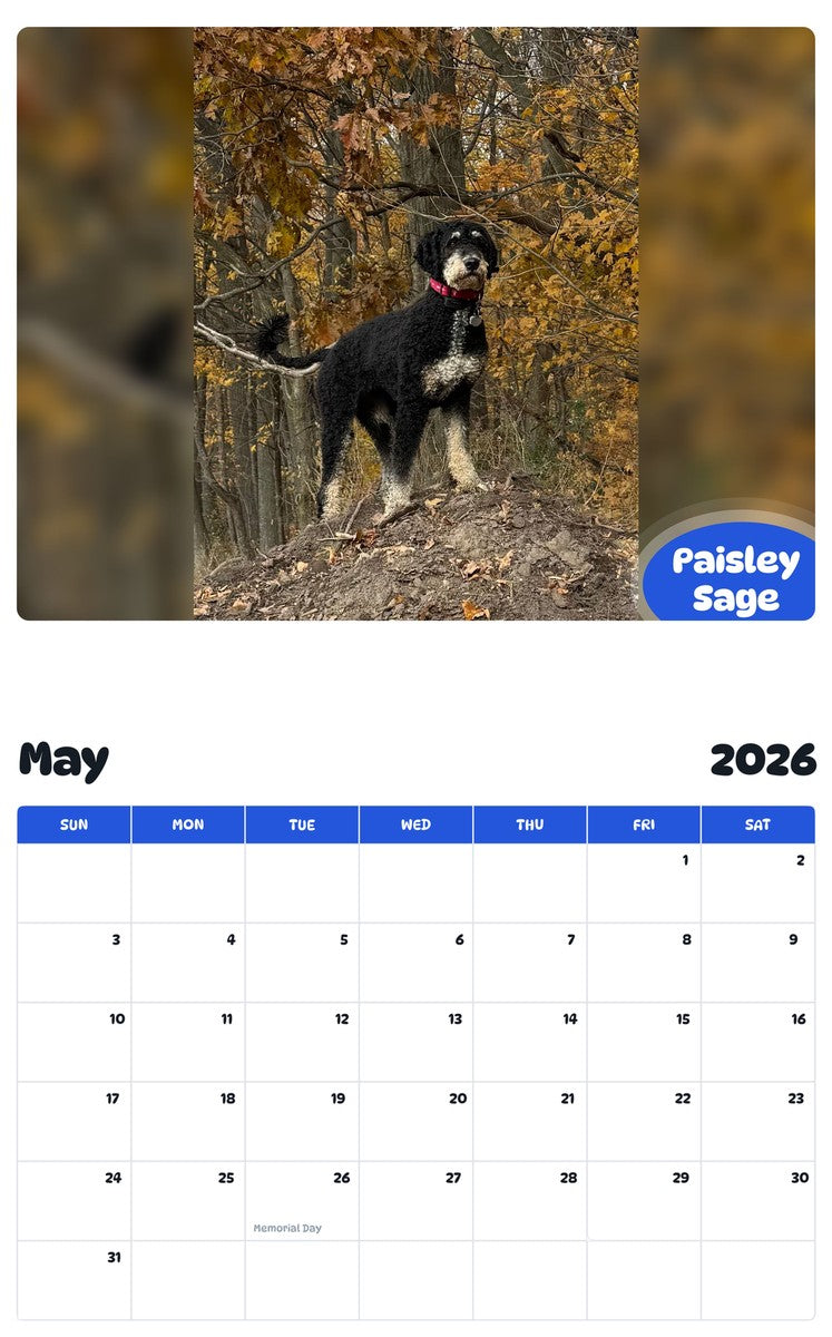 2026 - 2027 Paisley Sage - Pawidols Pet Calendar