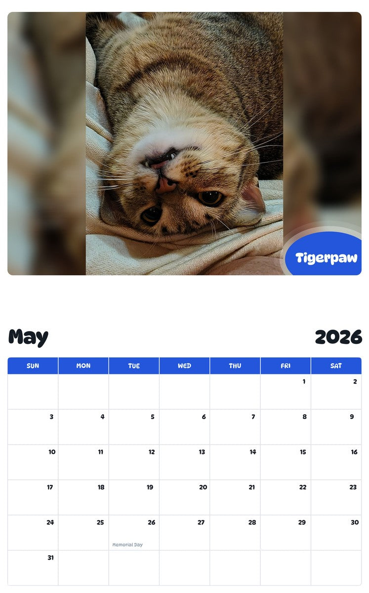 2026 - 2027 Tigerpaw - Pawidols Pet Calendar