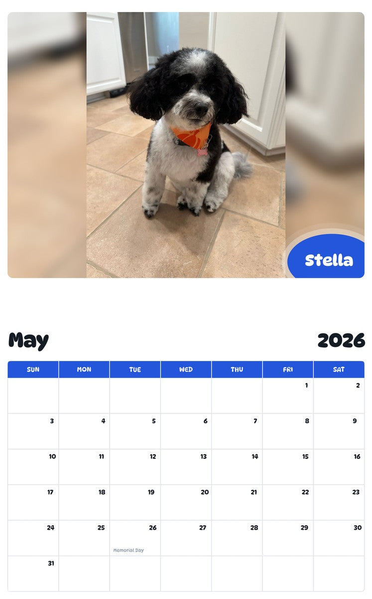 2026 - 2027 Stella - Pawidols Pet Calendar