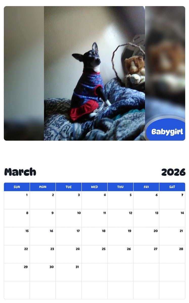 November 2025 - October 2026 Babygirl - Pawidols Pet Calendar