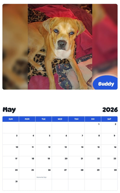 2026 - 2027 Buddy - Pawidols Pet Calendar