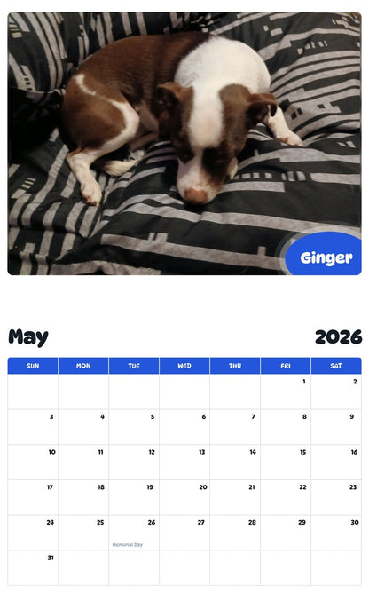 2026 - 2027 Ginger - Pawidols Pet Calendar