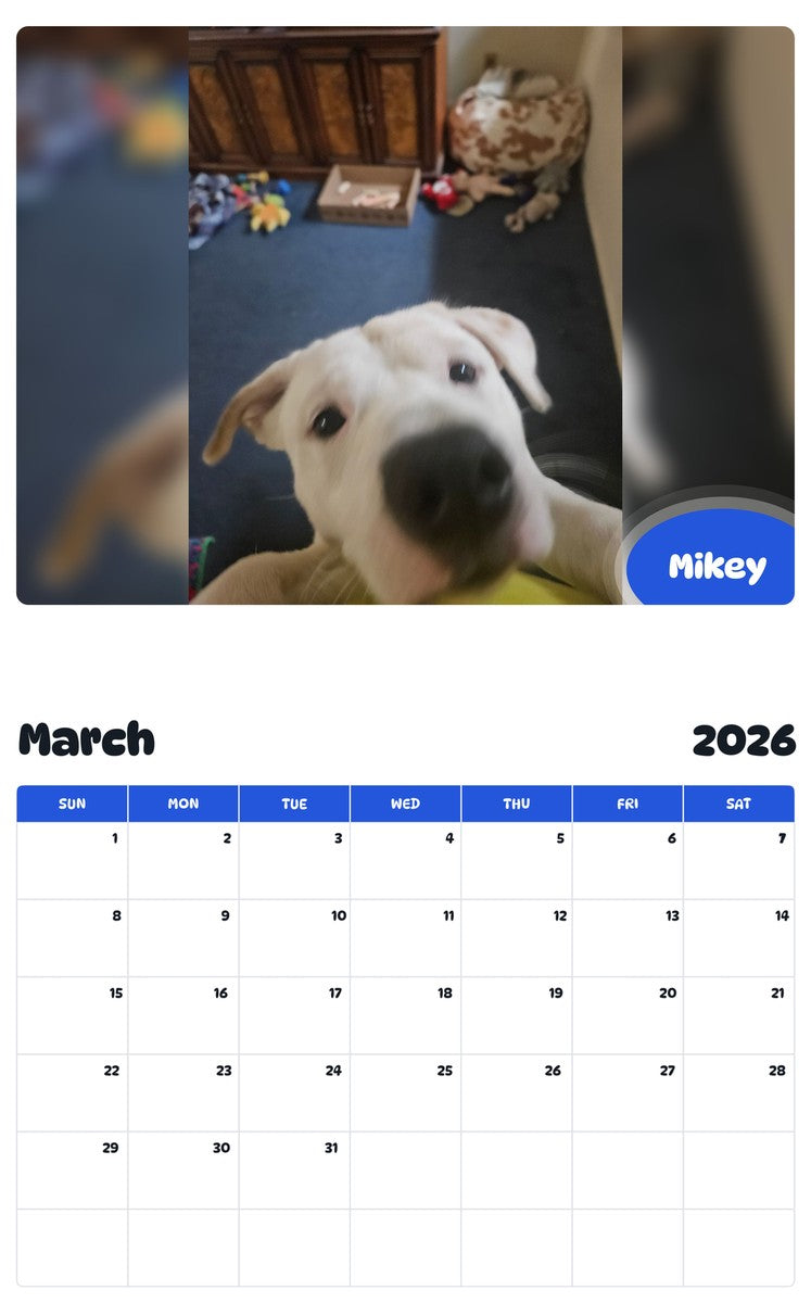 November 2025 - October 2026 Mikey - Pawidols Pet Calendar