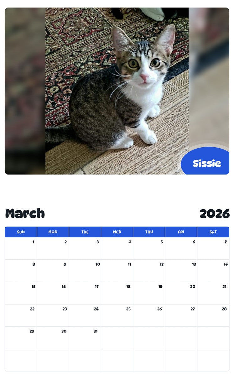 November 2025 - October 2026 Sissie - Pawidols Pet Calendar