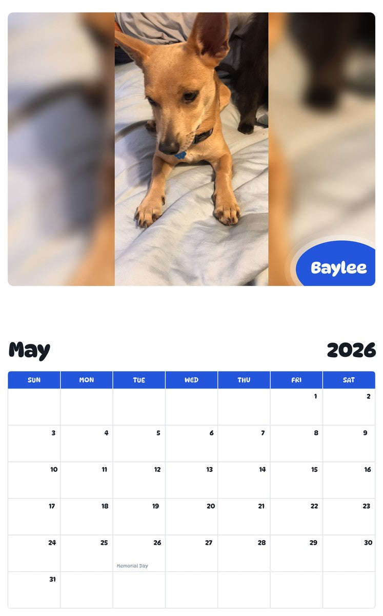 2026 - 2027 Baylee - Pawidols Pet Calendar