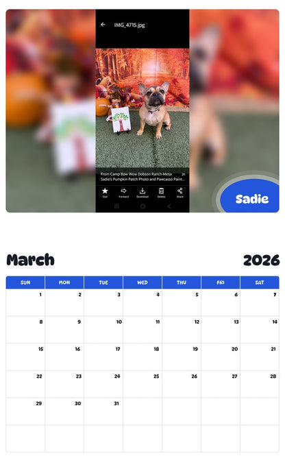 November 2025 - October 2026 Sadie - Pawidols Pet Calendar