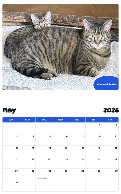 2026 - 2027 Chance & Dexter - Pawidols Pet Calendar