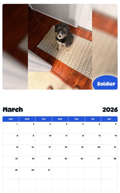 November 2025 - October 2026 Soldier - Pawidols Pet Calendar
