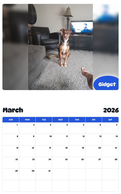 November 2025 - October 2026 Gidget - Pawidols Pet Calendar