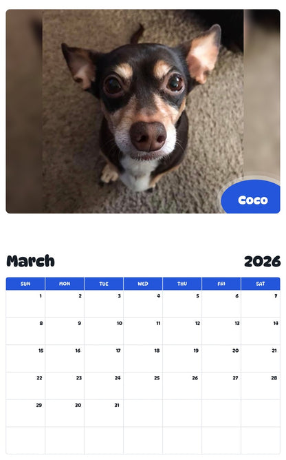 November 2025 - October 2026 Coco - Pawidols Pet Calendar