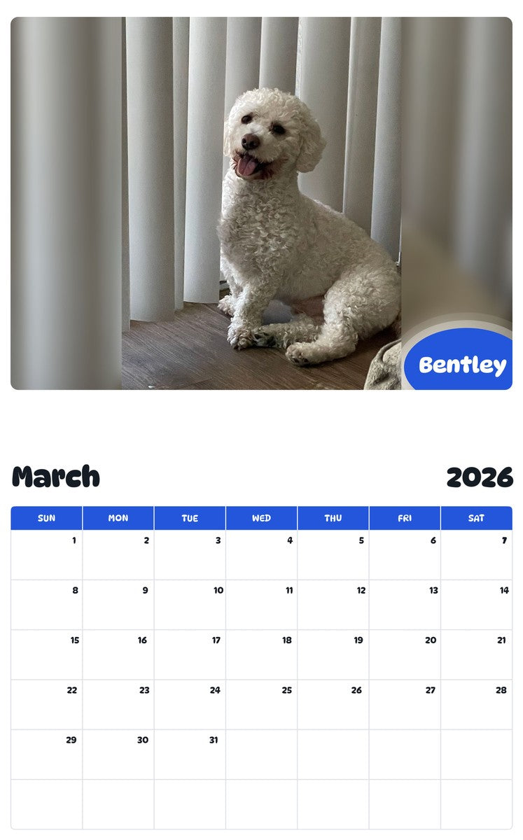 November 2025 - October 2026 Bentley - Pawidols Pet Calendar