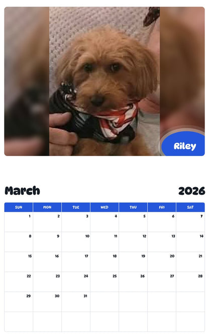 November 2025 - October 2026 Riley - Pawidols Pet Calendar
