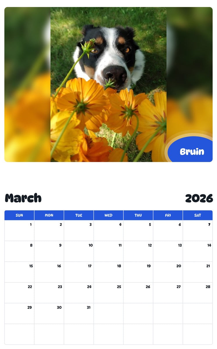 November 2025 - October 2026 Bruin - Pawidols Pet Calendar