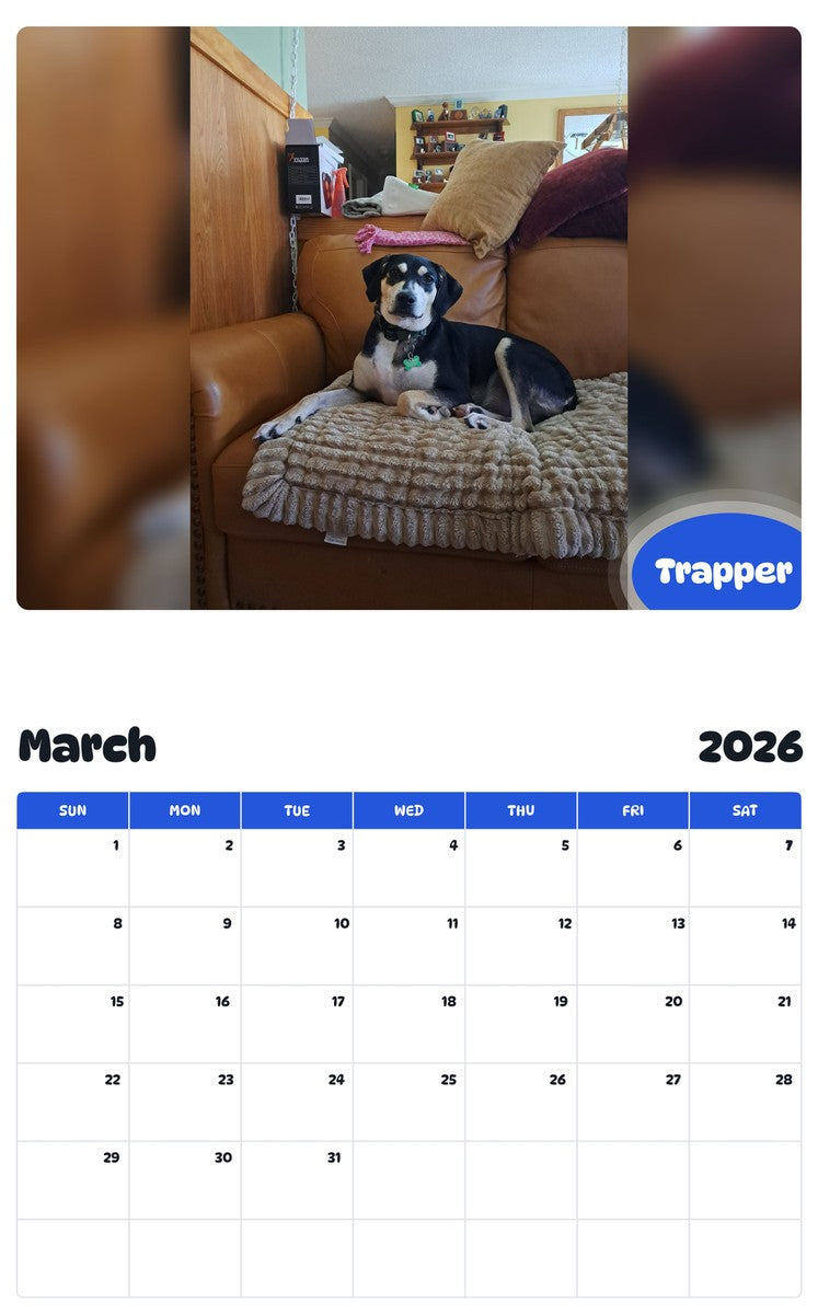 November 2025 - October 2026 Trapper - Pawidols Pet Calendar