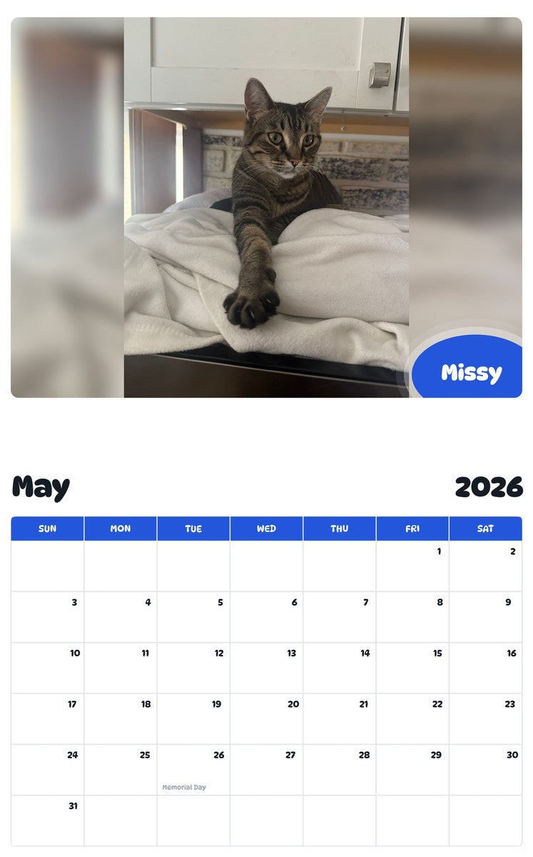 2026 - 2027 Missy - Pawidols Pet Calendar