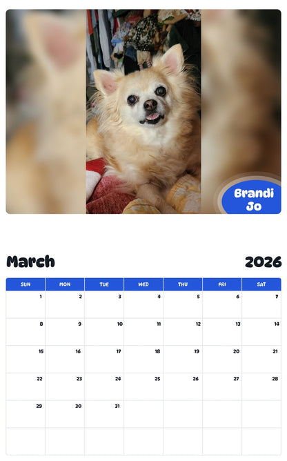 November 2025 - October 2026 Brandi Jo - Pawidols Pet Calendar