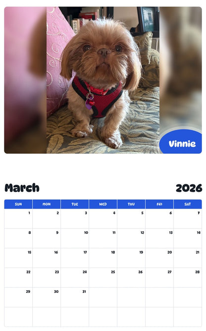 November 2025 - October 2026 Vinnie - Pawidols Pet Calendar
