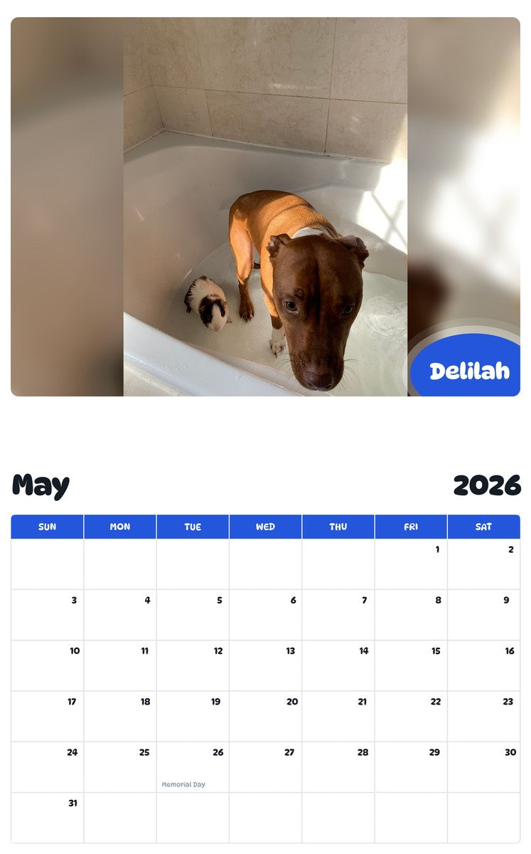 2026 - 2027 Delilah - Pawidols Pet Calendar