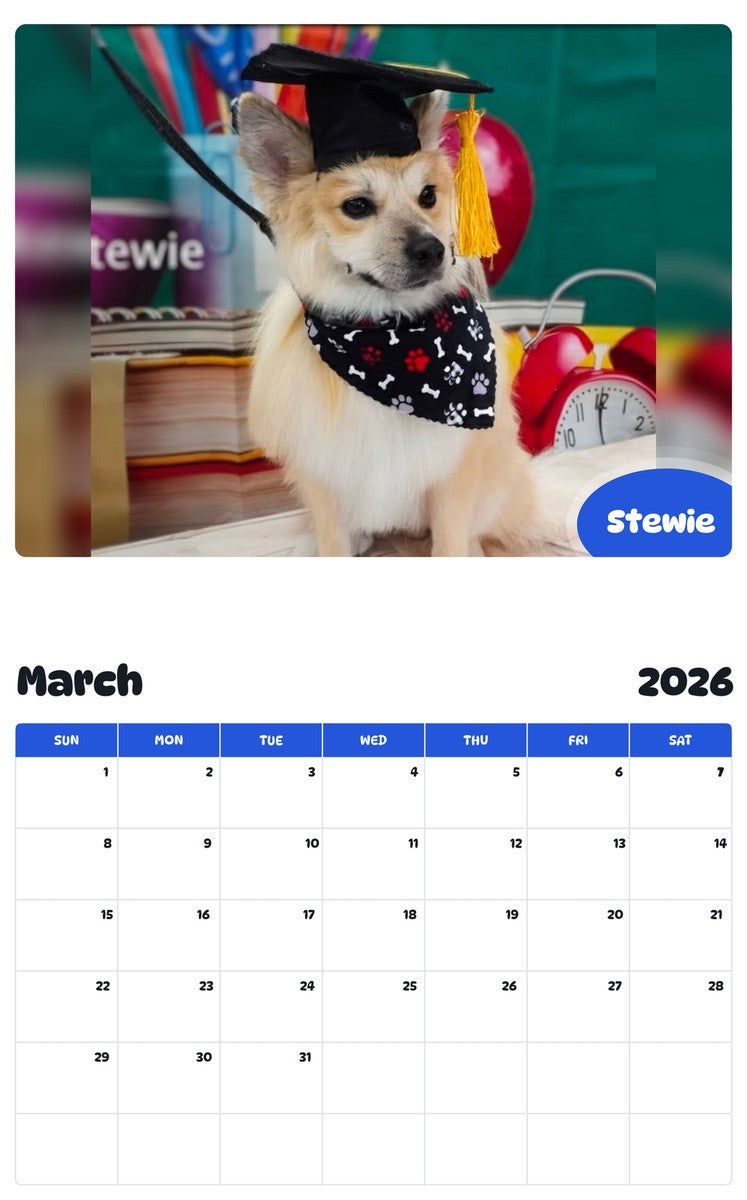 November 2025 - October 2026 Stewie - Pawidols Pet Calendar
