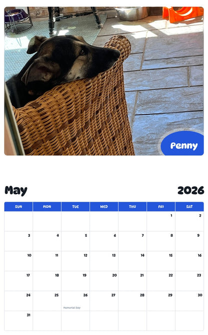 2026 - 2027 Penny - Pawidols Pet Calendar