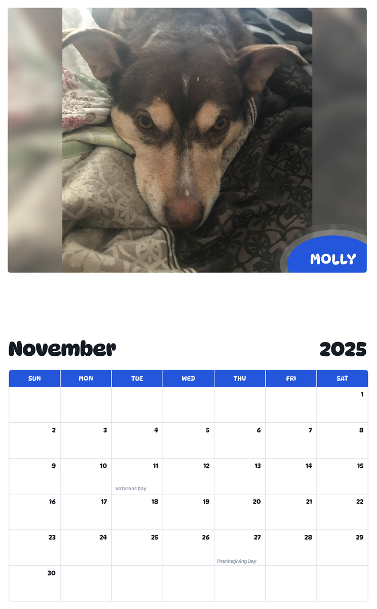 July 2025 - June 2026 Molly - Pawidols Pet Calendar