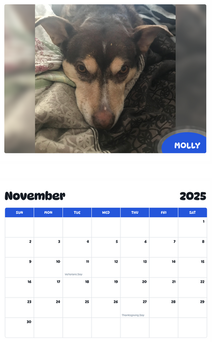 July 2025 - June 2026 Molly - Pawidols Pet Calendar
