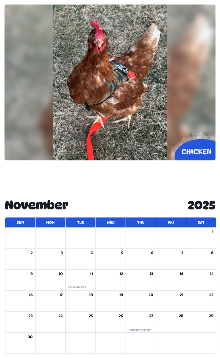 July 2025 - June 2026 Chicken - Pawidols Pet Calendar