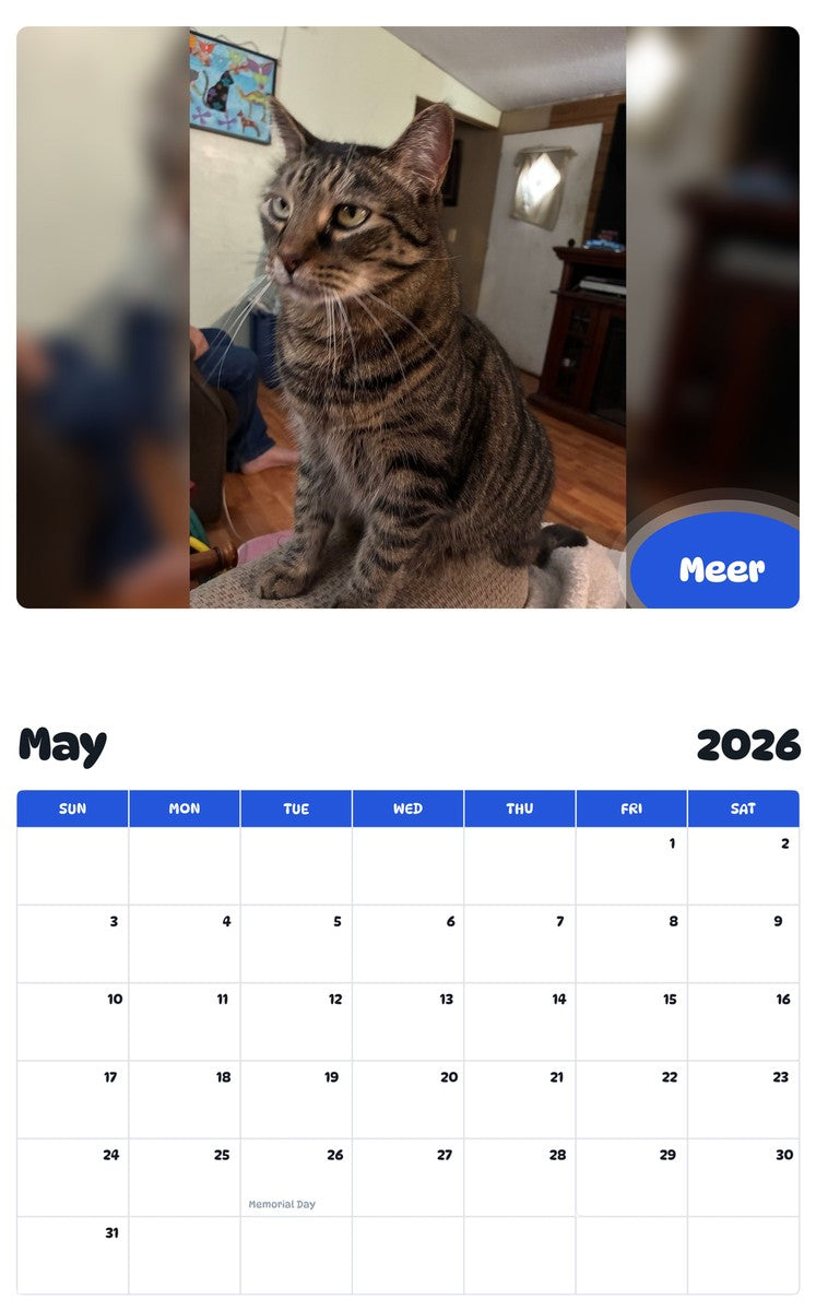 2026 - 2027 Meer - Pawidols Pet Calendar