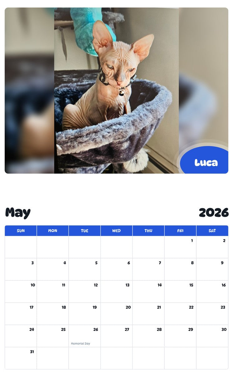 2026 - 2027 Luca - Pawidols Pet Calendar