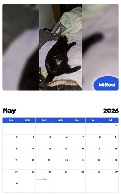 2026 - 2027 Willow - Pawidols Pet Calendar