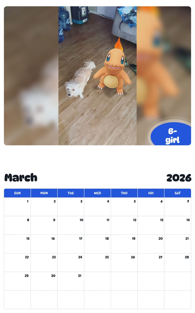 November 2025 - October 2026 B-girl - Pawidols Pet Calendar