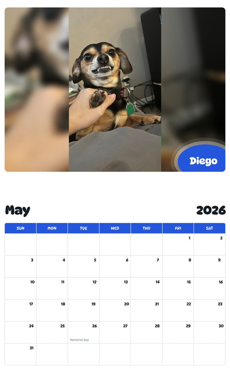 2026 - 2027 Diego - Pawidols Pet Calendar