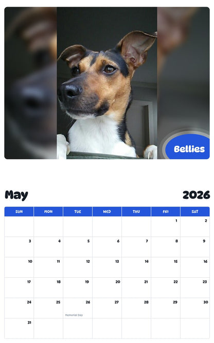 2026 - 2027 Bellies - Pawidols Pet Calendar
