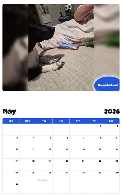 2026 - 2027 Chielight baby girl - Pawidols Pet Calendar
