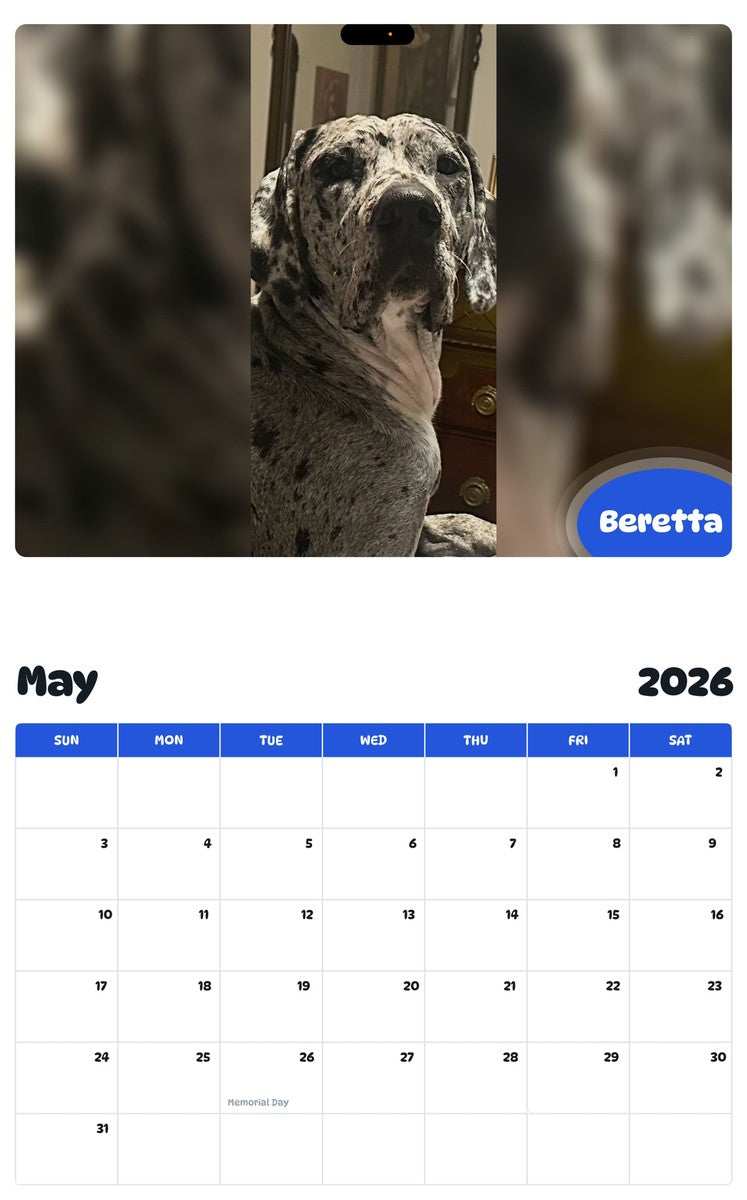 2026 - 2027 Beretta - Pawidols Pet Calendar